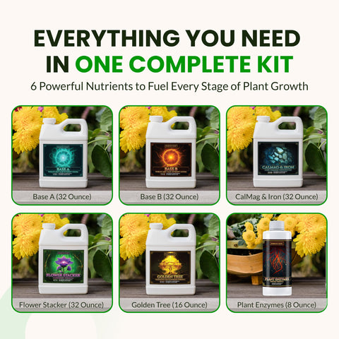 Humboldts Secret Plant Enzymes 8 oz improving nutrient uptake.