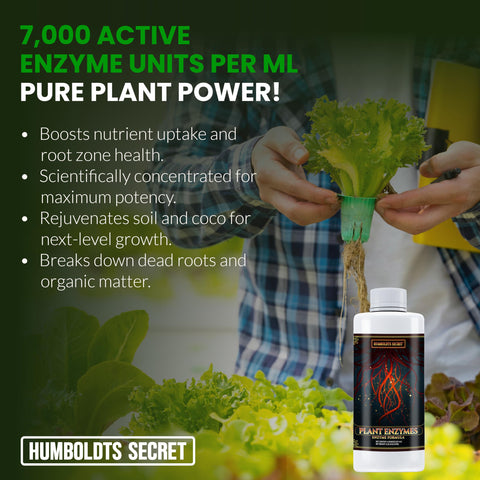 Humboldts Secret Plant Enzymes in a hydroponics setup highlighting compatibility.