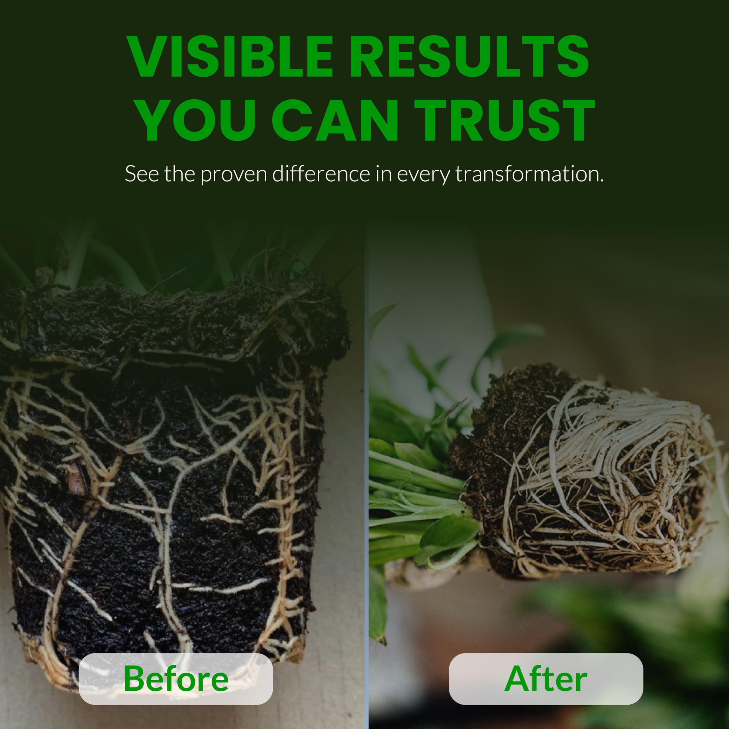 Humboldts Secret Plant Enzymes packaging update label detail for consistency.