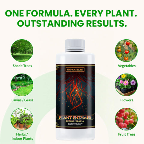 Humboldts Secret Plant Enzymes soil rejuvenation scenario after reuse.