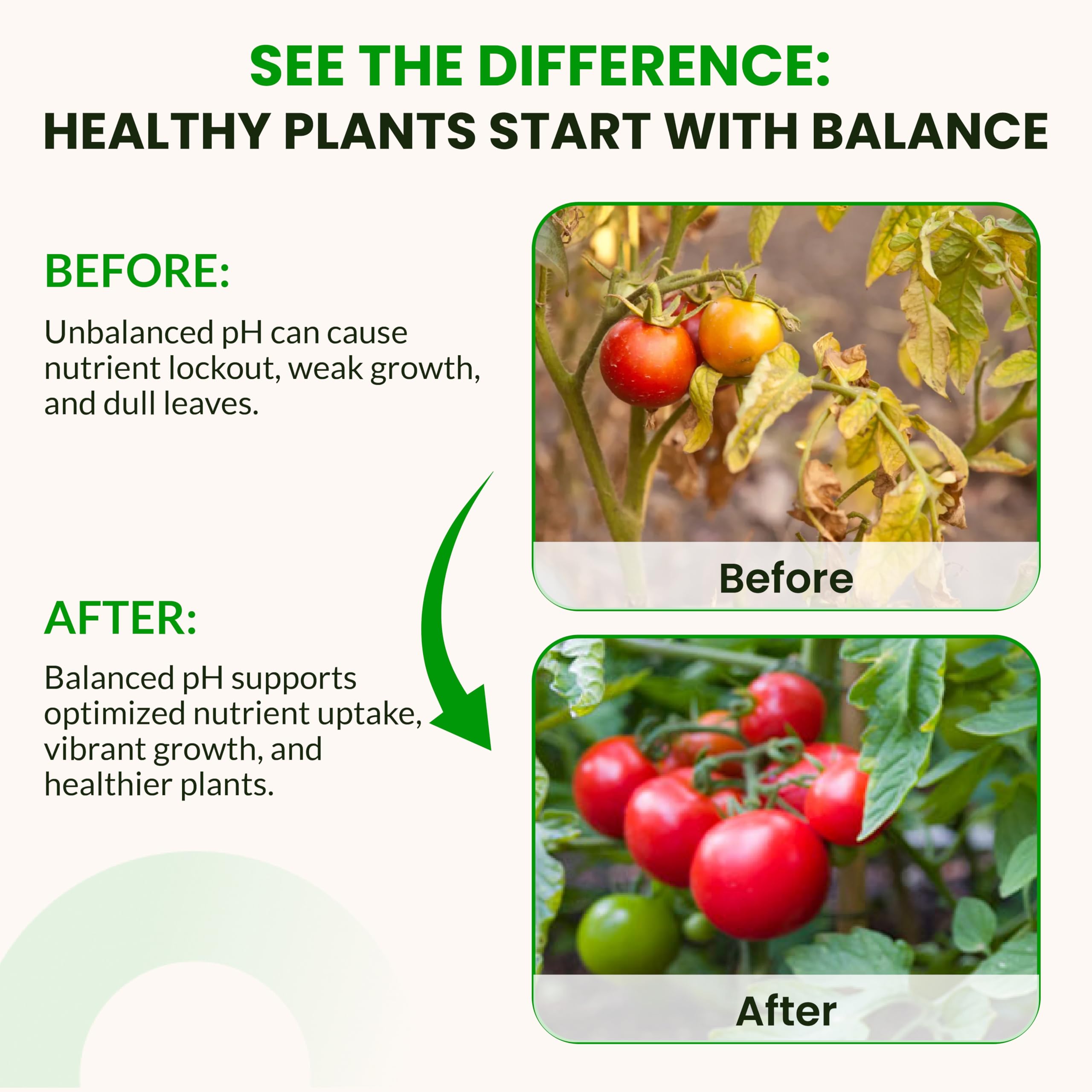 Humboldts Secret works across soil and coco media for consistent pH control.