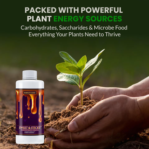 Soil drench application with Sweet & Sticky energizing growth in pots