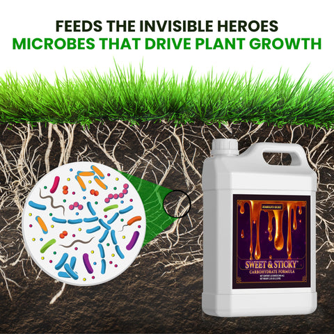 Humboldts Secret Sweet & Sticky harvest-ready aroma and flavor development.