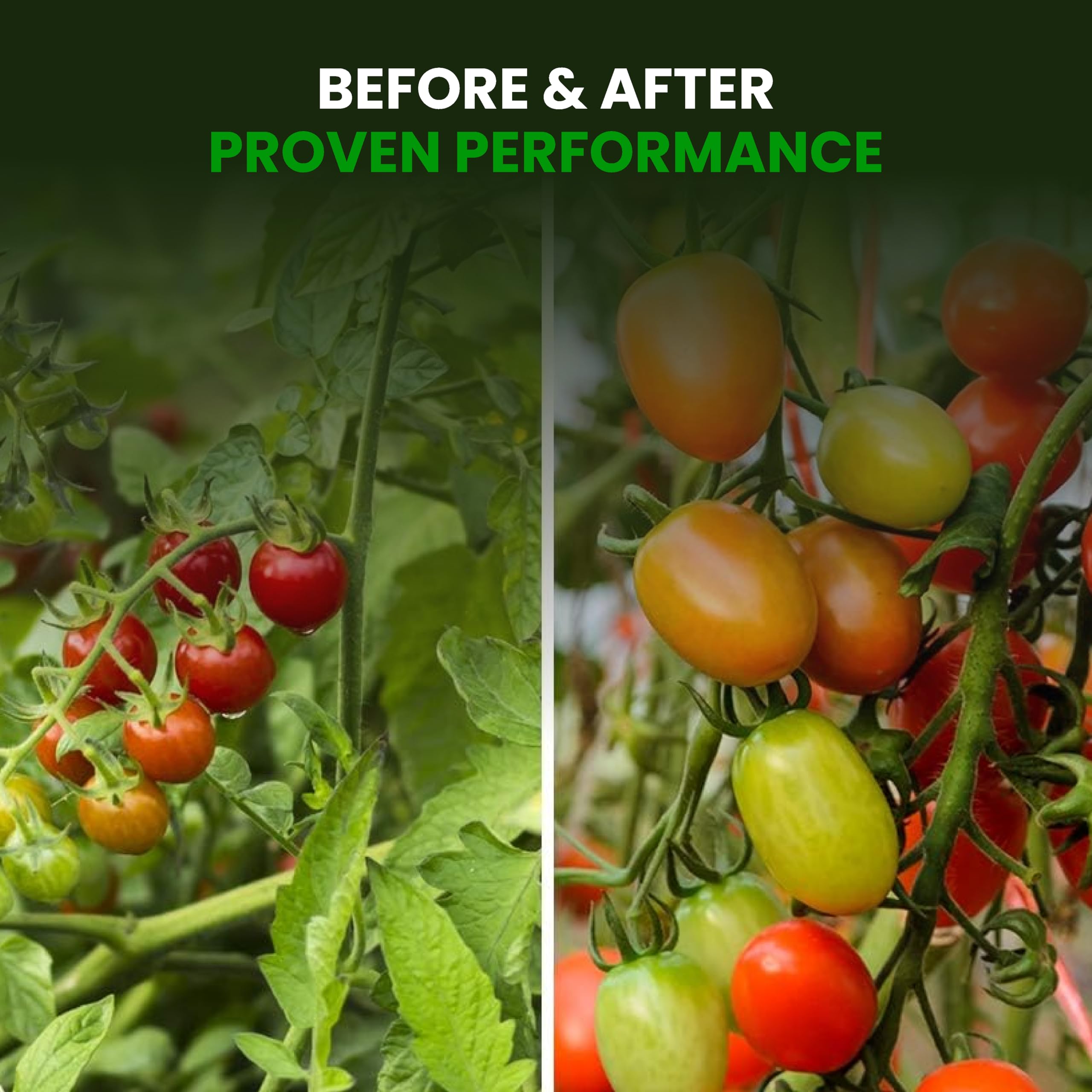 Humboldts Secret Sweet & Sticky hydroponic uptake in water-based systems.
