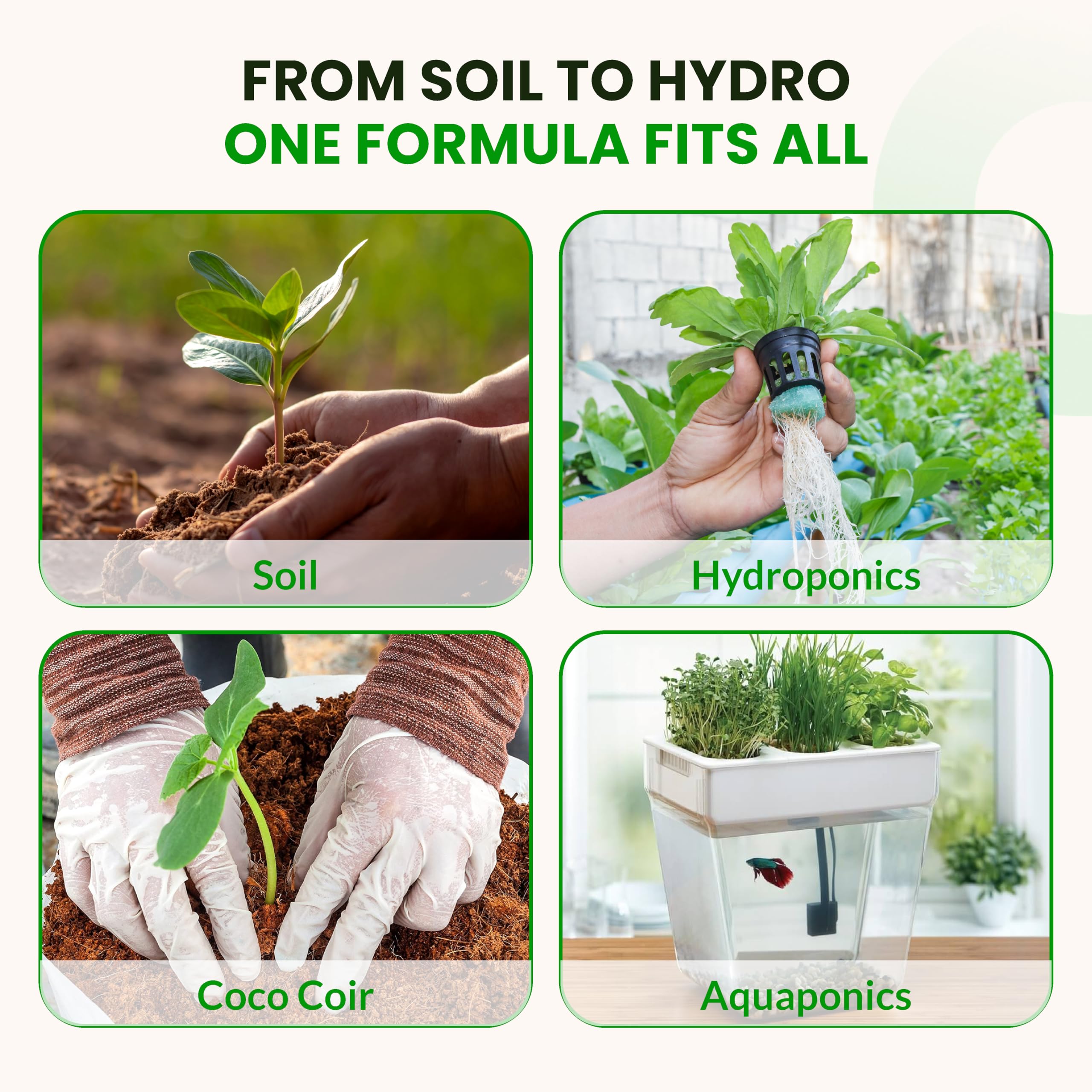 Sweet & Sticky indoor garden setup applying product for vibrant growth.
