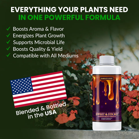 Indoor plant setup benefiting from Sweet & Sticky in a home grow