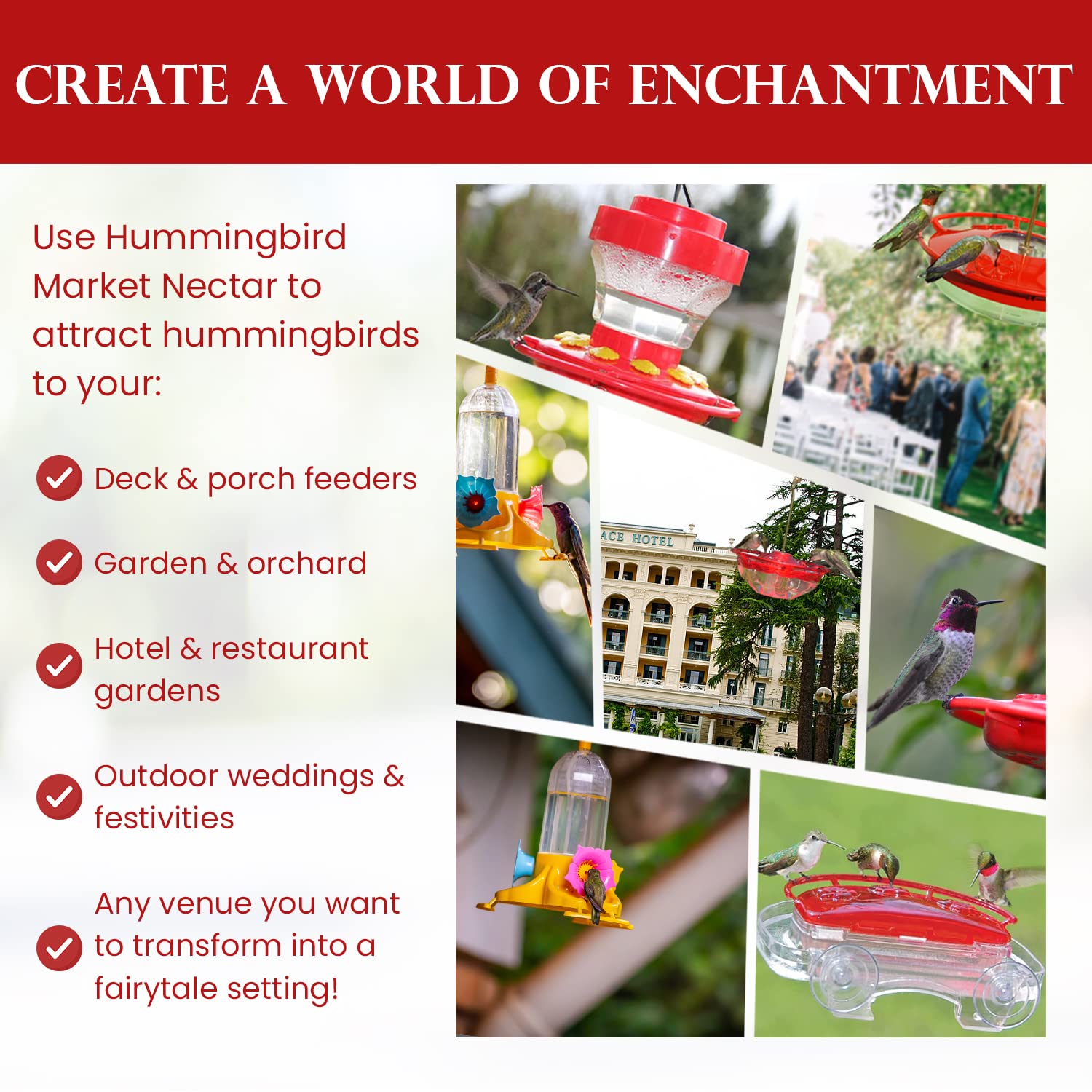 Hummingbird Market nectar powder designed for local hummingbirds and pollinators