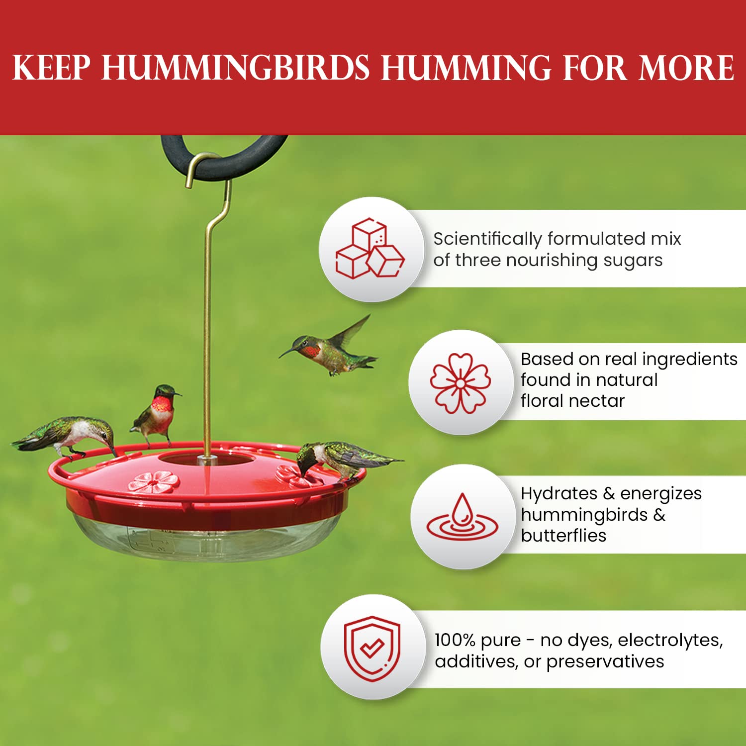 Hummingbird Market three-sugar blend mirrors natural nectar for feeding