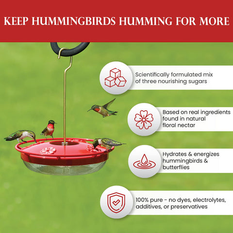 Hummingbird Market three-sugar blend mirrors natural nectar for feeding