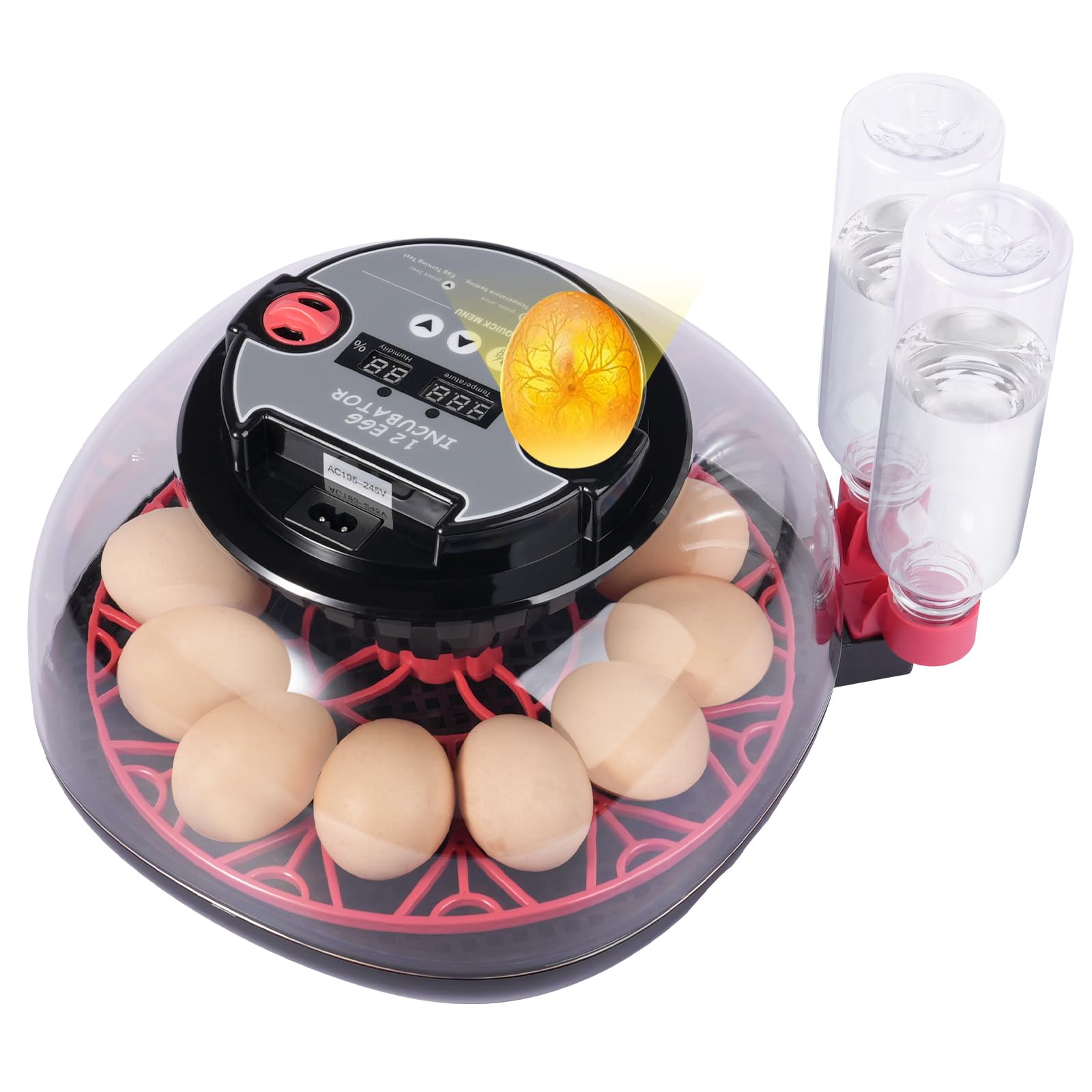 Humorrap 12-egg incubator with a 360° view for easy monitoring.
