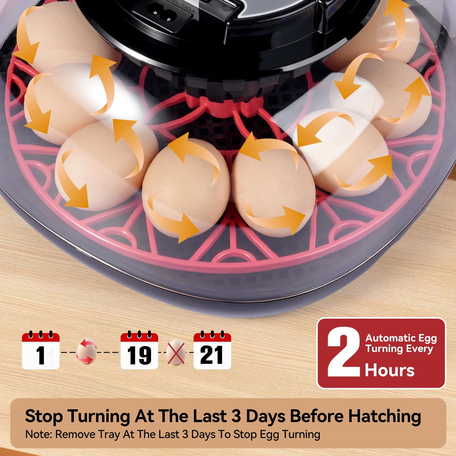 Humorrap automatic egg turning smooths rotation for consistent development.