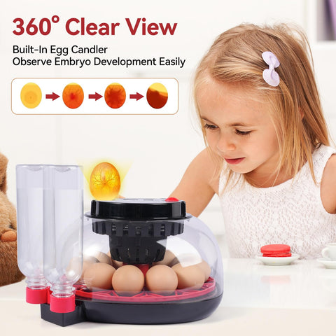 Humorrap egg candler light lets you observe embryo progress clearly.