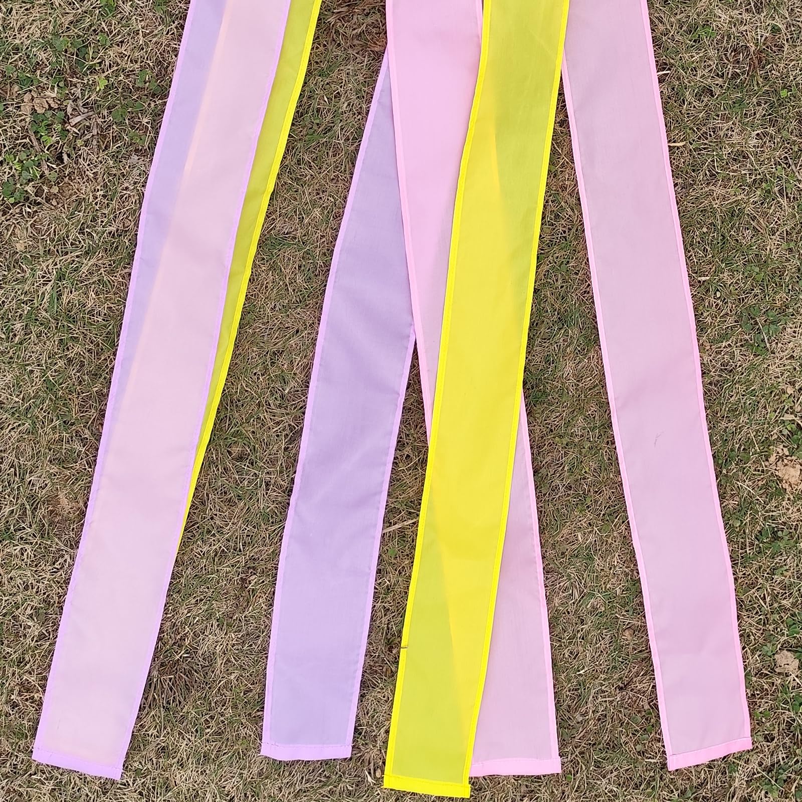 HUNGTOR outdoor windsock chick for roof or lawn accents
