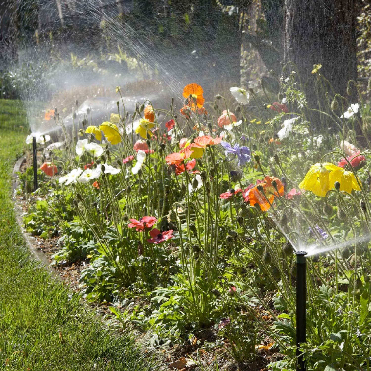 Hunter 4-inch pop-up sprinkler head compatible with MP Rotators and standard nozzles.