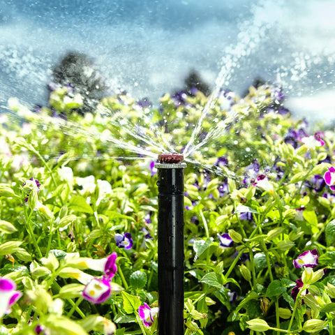 Hunter MP1000 water-saving design reduces overspray and saves water over time.