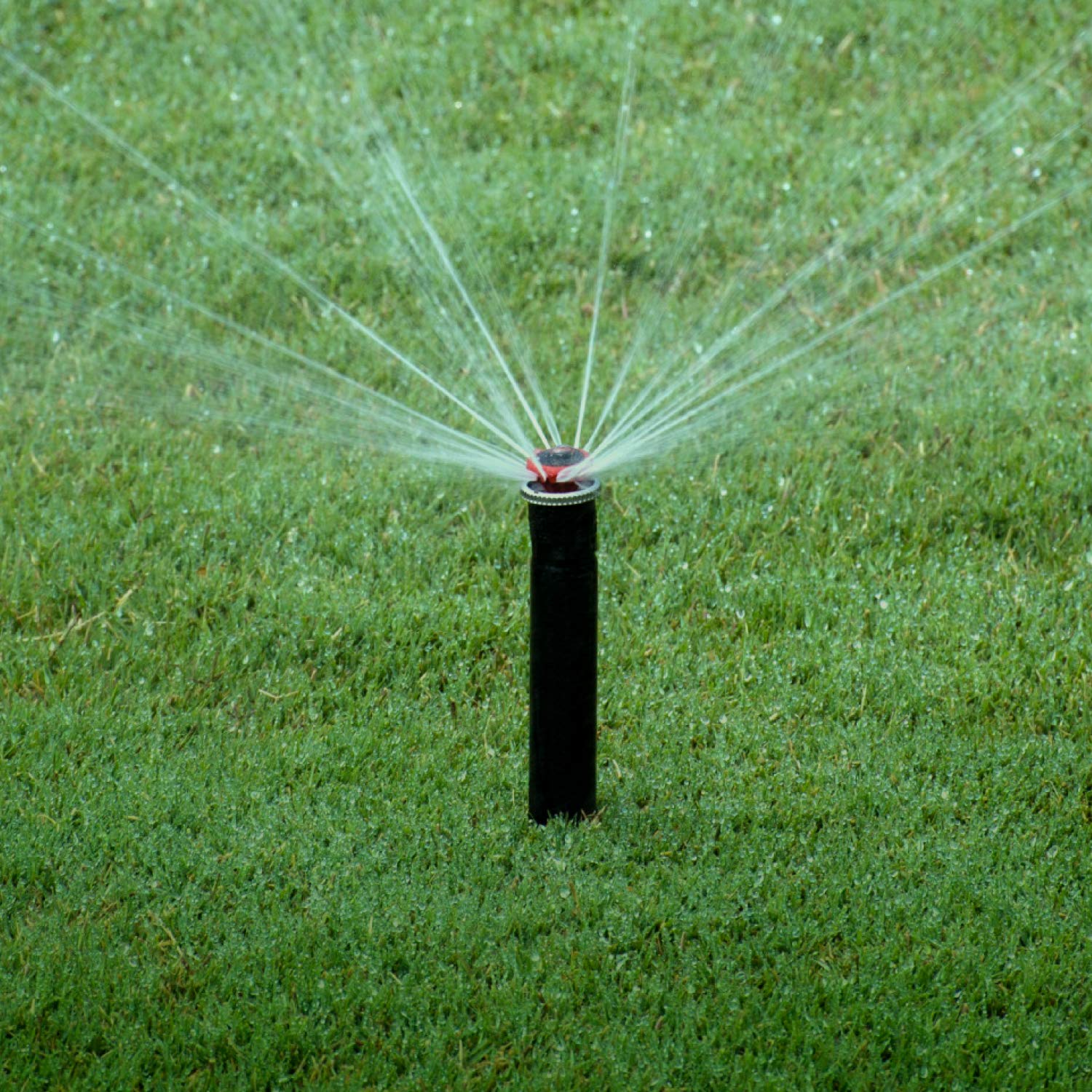 Hunter MP2000 adjusts from 13 to 21 ft for zone control