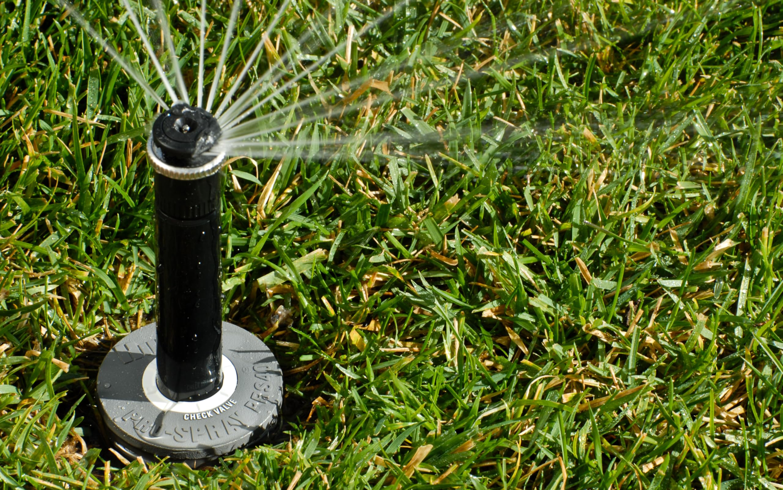 Hunter PRS40 40psi regulator designed for efficient watering and reduced misting