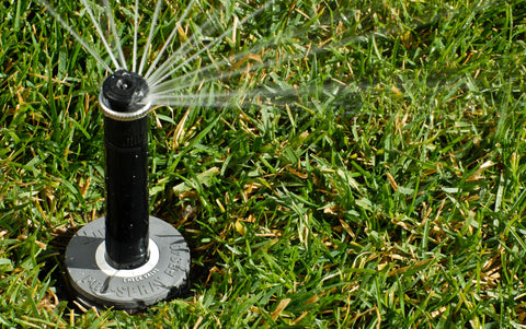 Hunter PRS40 40psi regulator designed for efficient watering and reduced misting