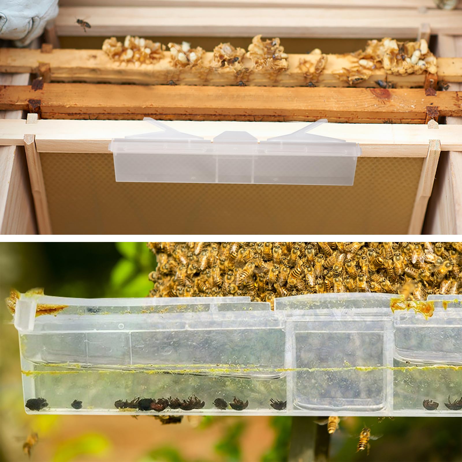 HunterBee Beetle Blaster compatibility with vegetable oil for safe use