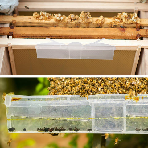 HunterBee Beetle Blaster compatibility with vegetable oil for safe use