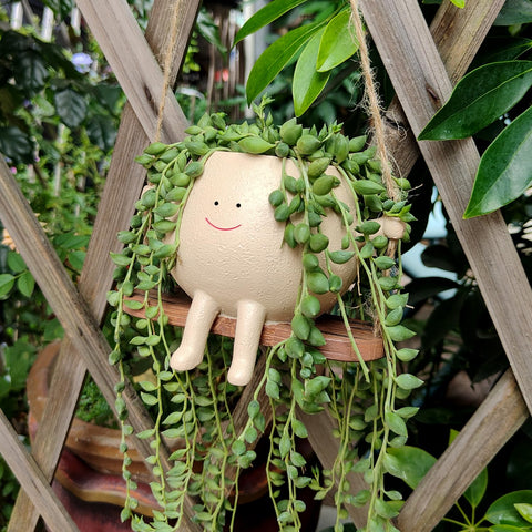 HUNTHAWK succulent-friendly face-planter supports creative arrangements.