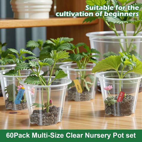 HurOutd included plant labels help organize pots and plant care.