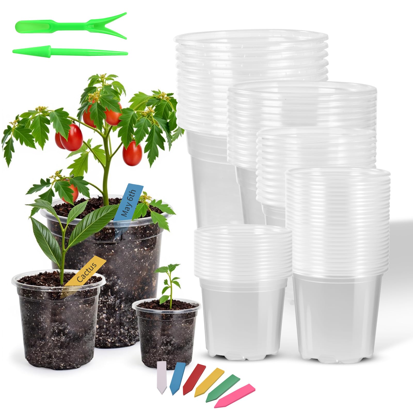 HurOutd clear pot 3.5-inch with drainage holes supports healthy root airflow.