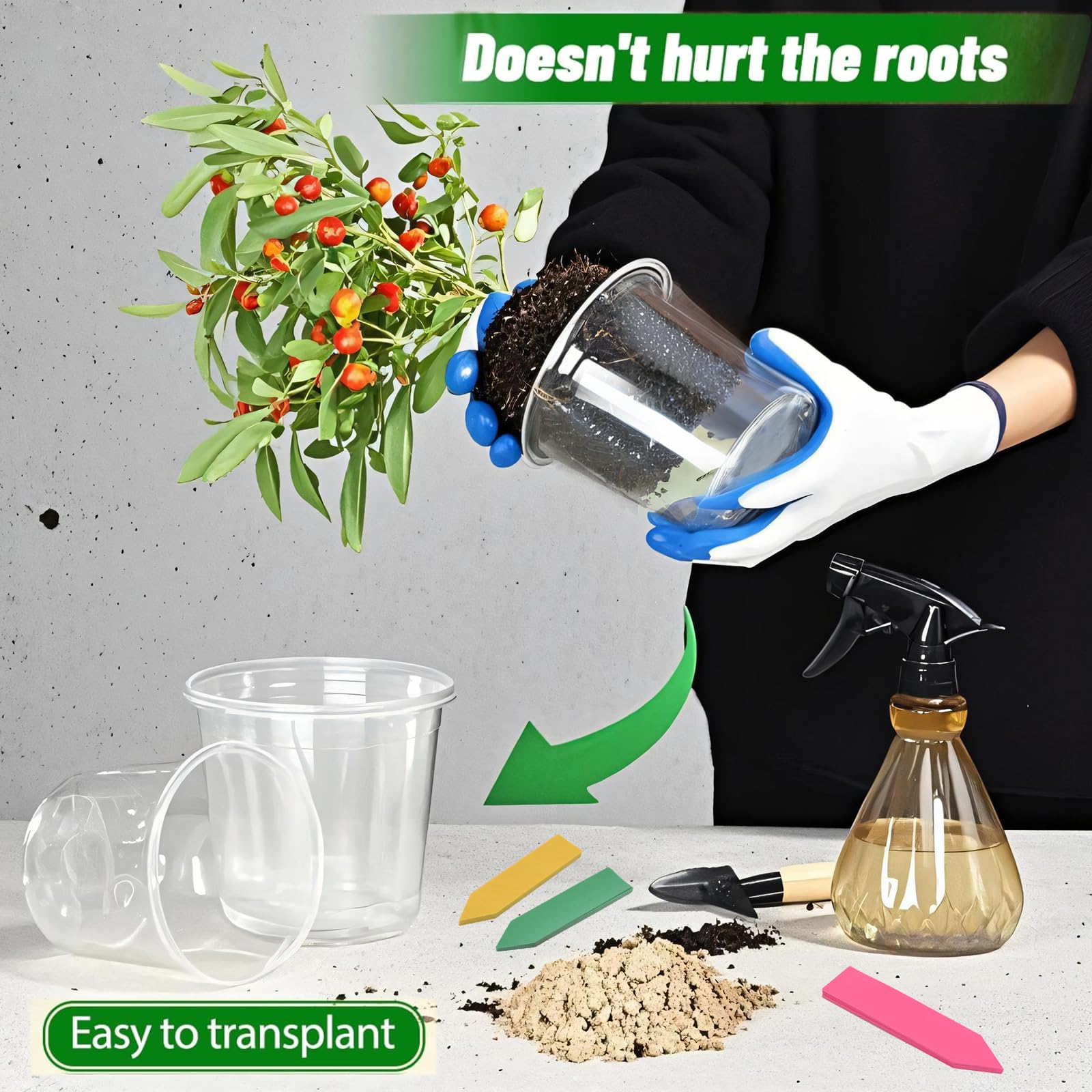 HurOutd clear pot 7-inch with drainage holes for mature plants and repotting.
