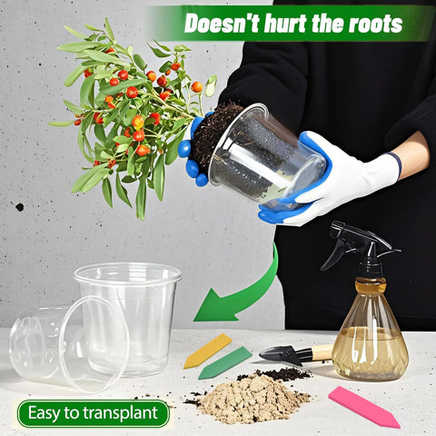 HurOutd clear pot 7-inch with drainage holes for mature plants and repotting.