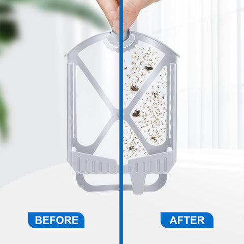 Husaco plug-in trap setup for continuous pest capture.