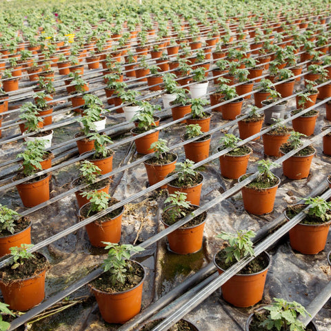 Hushee durable, flexible planters that resist cracking and deform
