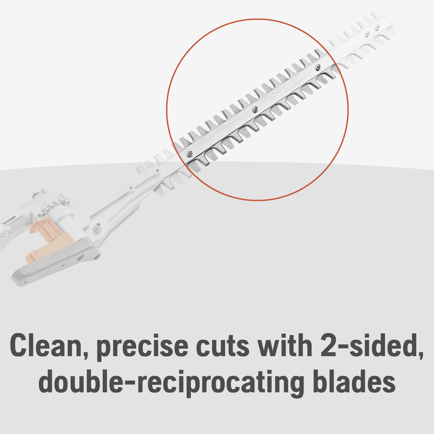 Attachment capable design lets you switch to pole saw or edger
