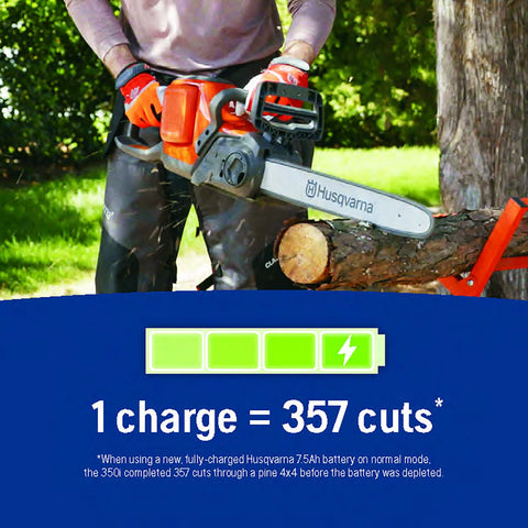 Husqvarna Power Axe 350i BLi30 battery powers longer pruning sessions.