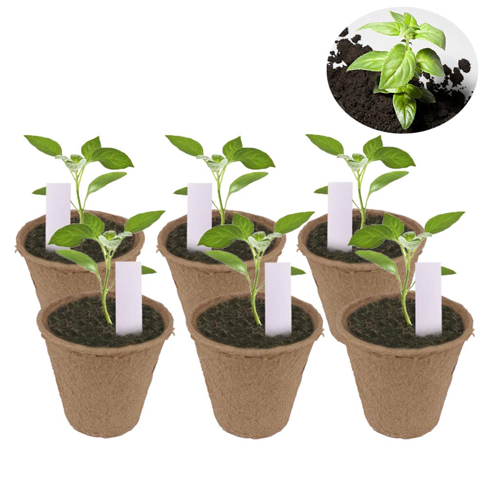 Huvai biodegradable fiber pots break down naturally in soil.