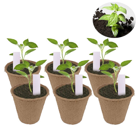 Huvai biodegradable fiber pots break down naturally in soil.
