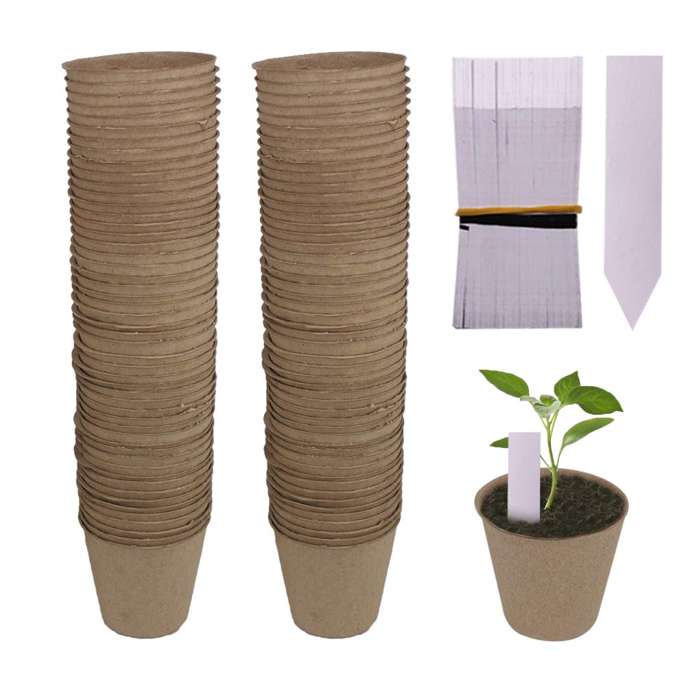 Huvai peat pots, 3.15 inch diameter, foster strong seedling starts in ventilated settings.