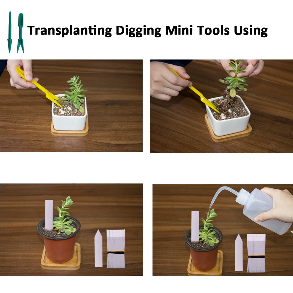 Huvai seed-start kit with pots, tags, and tools.