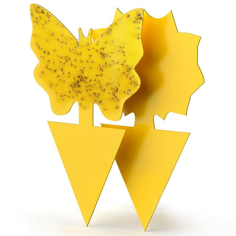HUYDUY Sticky Traps 40-pack with yellow dual sides catching gnats around indoor plants