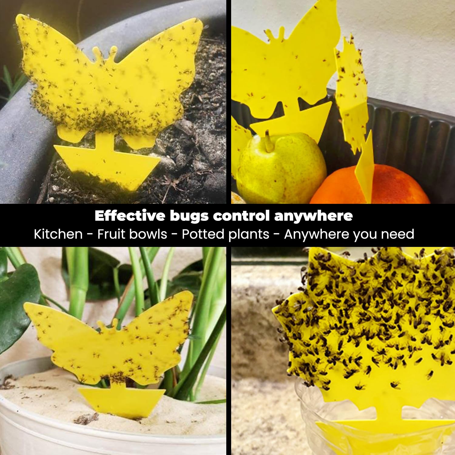 HUYDUY Sticky Traps demonstrating easy peel and stick application
