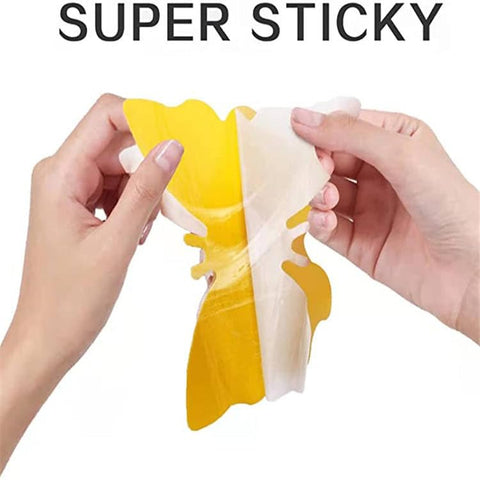 HUYDUY Sticky Traps closeup showing adhesive catching gnats on yellow surface