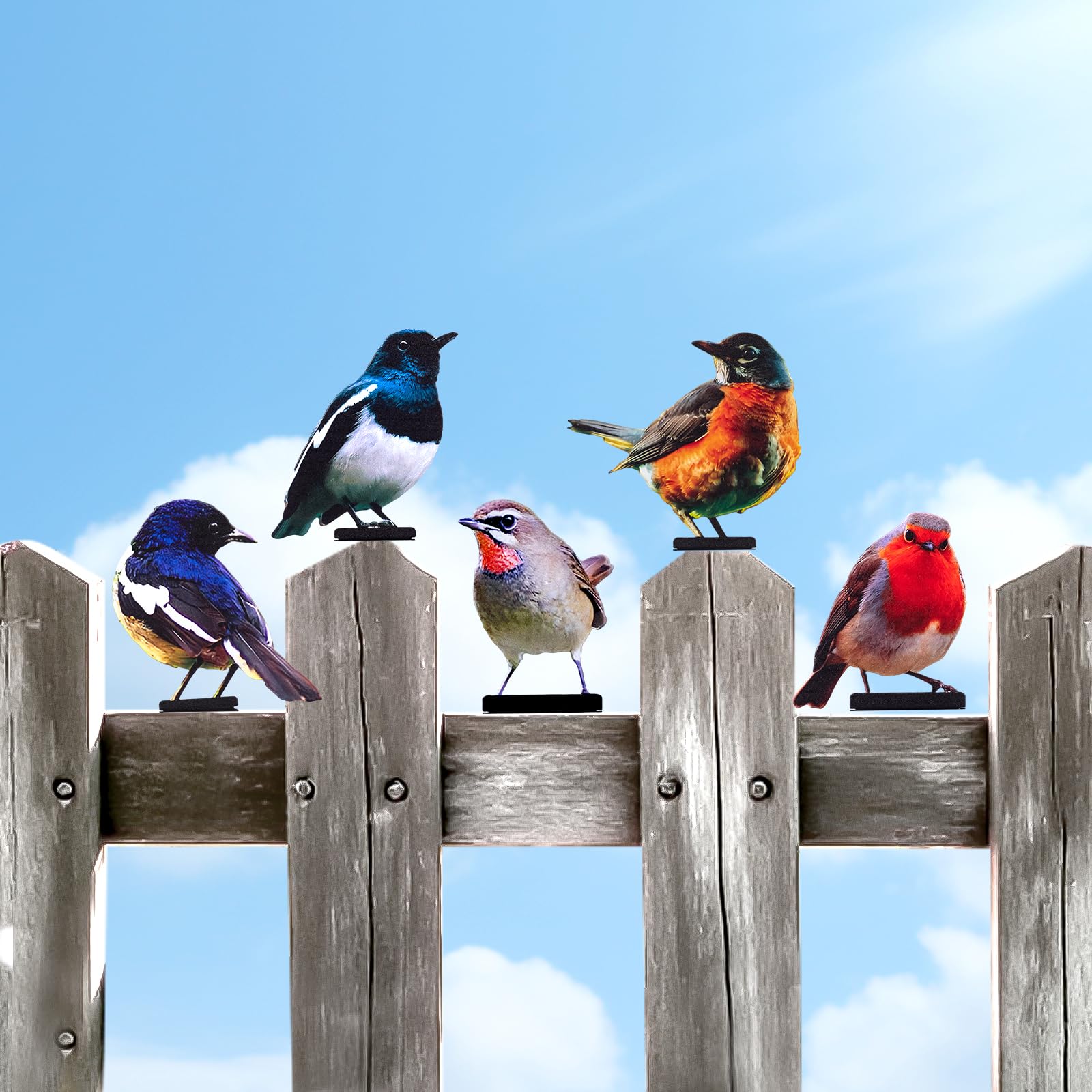 HUYIENO color-painted birds add focal points to fences and patios.