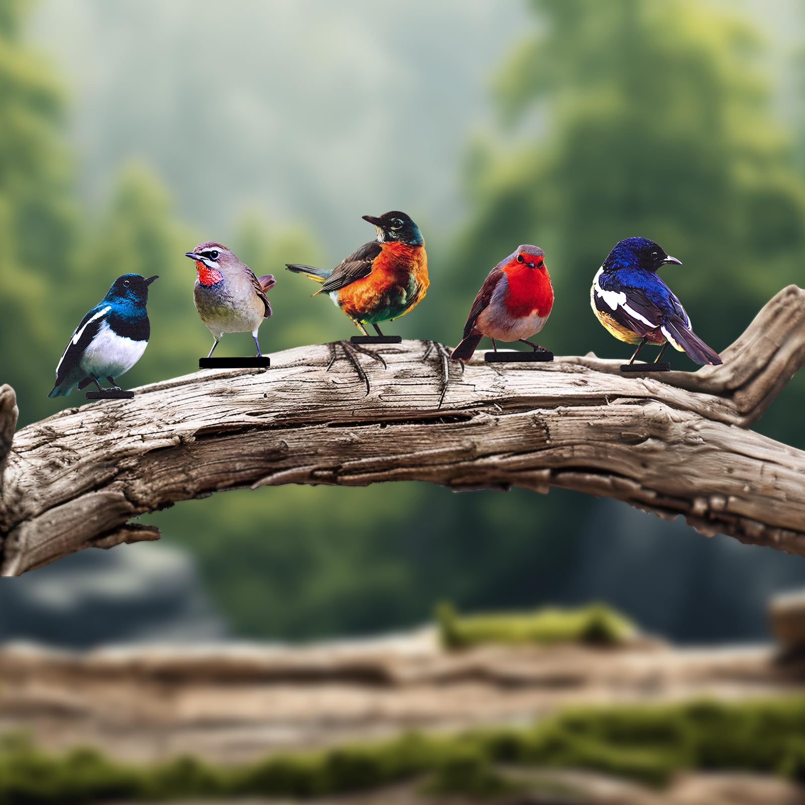 HUYIENO perfect gift for garden lovers who appreciate vibrant outdoor accents.