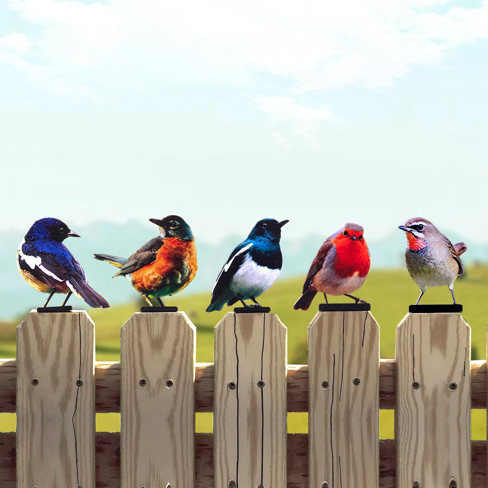 HUYIENO vivid metal birds fence decor collection brightens outdoor spaces.