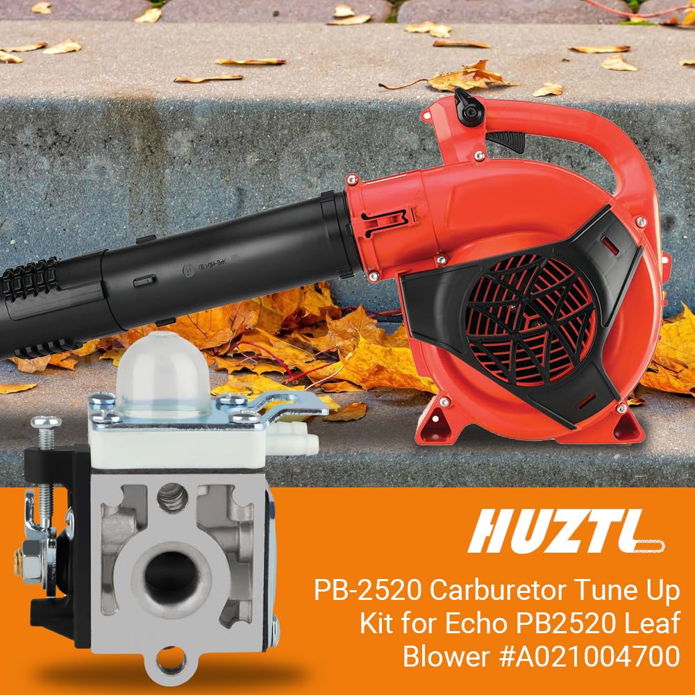 Huztl PB-2520 air filter view highlighting clean filtration for Echo