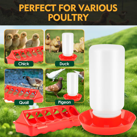 HXIAOBANN easy-fill flip-top lid enables fast, stress-free care.