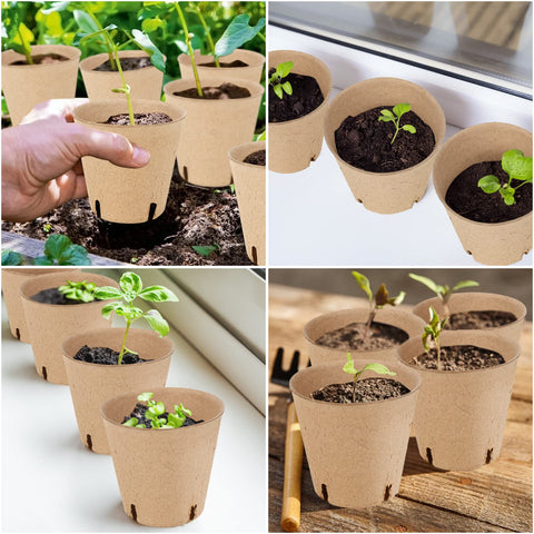 HXSEMAYIG indoor-outdoor garden starter set supports healthy seedling growth.