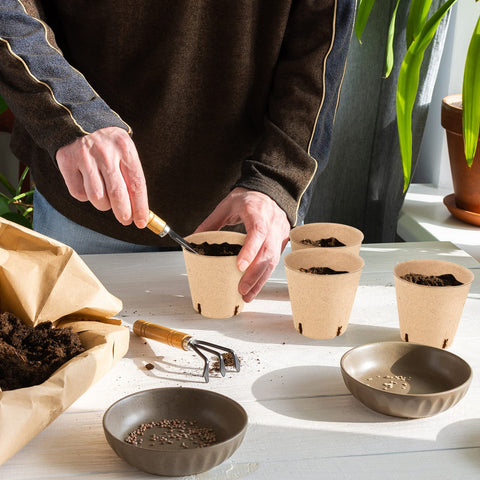HXSEMAYIG peat pots with drainage holes support healthy moisture management during germination.