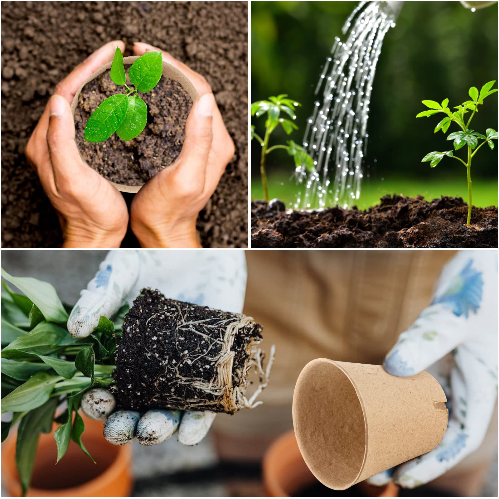 HXSEMAYIG seedling pots include 20 plant labels for easy seed tracking.