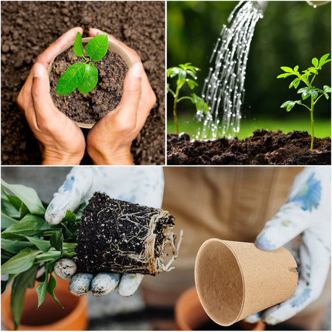 HXSEMAYIG seedling pots include 20 plant labels for easy seed tracking.