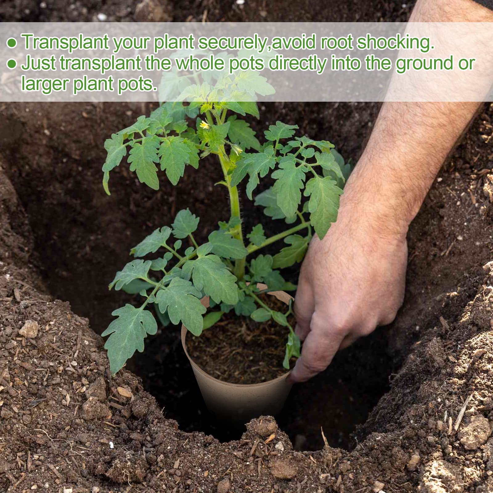 HXSEMAYIG 3.15 inch nursery pots ideal for vegetables and flowers.